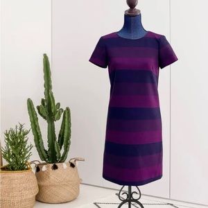 Tahari plum striped size 14 dress with tags never worn